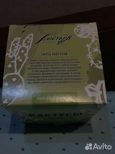 Кактусы (для дома)