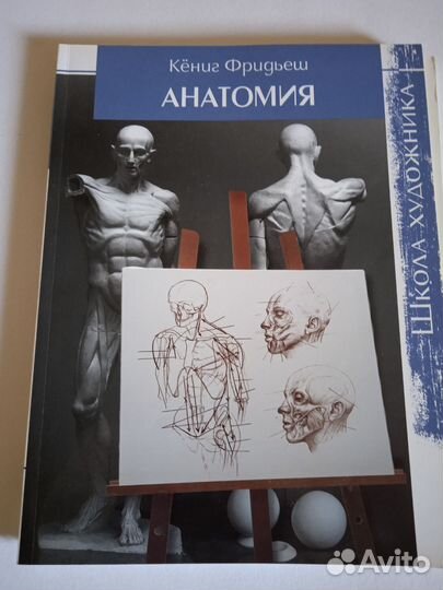 Книга для художников, Анатомия