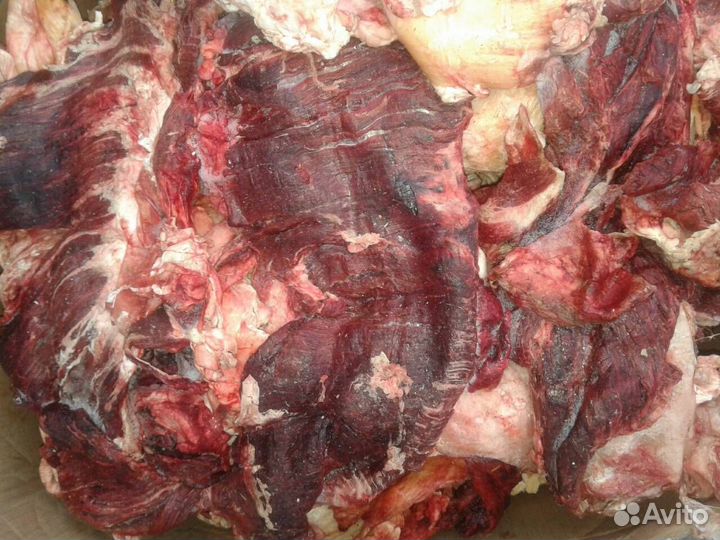 Говядина, субпродукты для собак