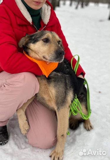 Милый Авель ждет родителей