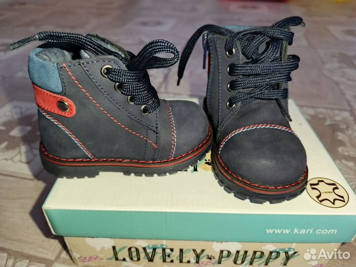 Ботинки демисезонные