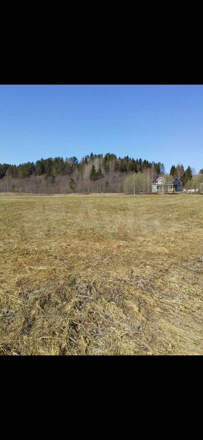 Участок 1,59 га (СНТ, ДНП)