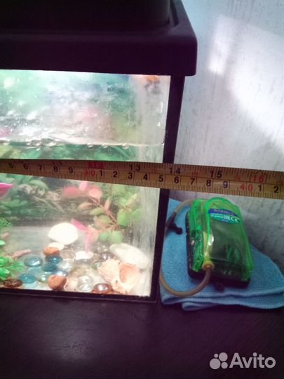 Аквариум