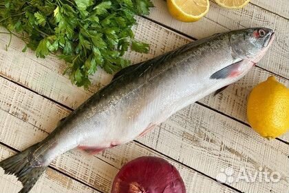 Красная рыба