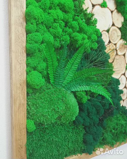 Панно, картина, декор из стабилизированного мха