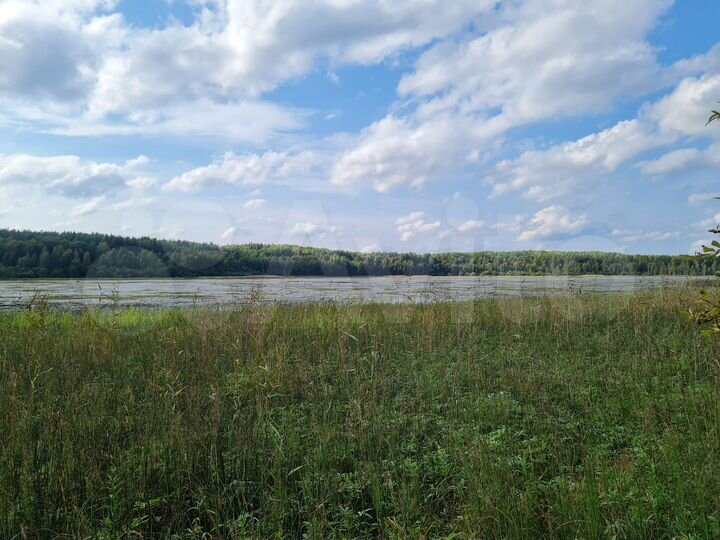 Участок 1,13 га (СНТ, ДНП)