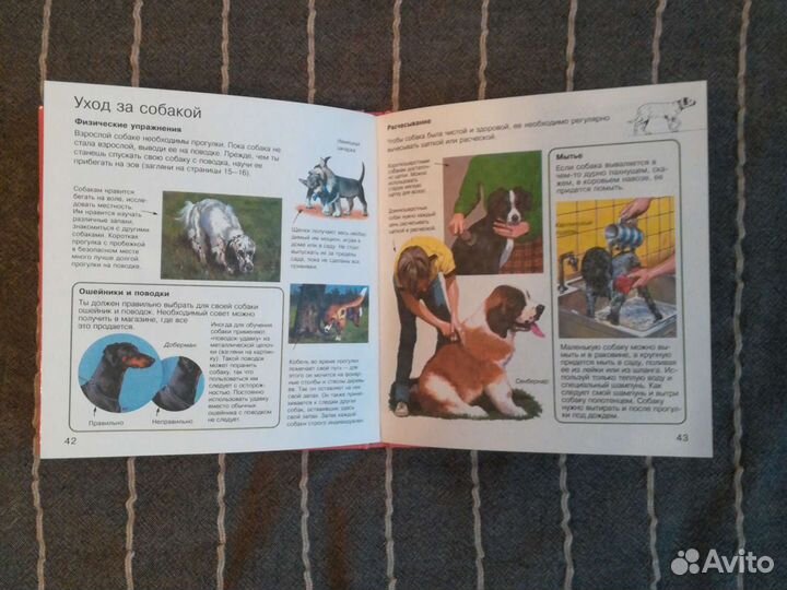 Детские энциклопедии о домашних животных