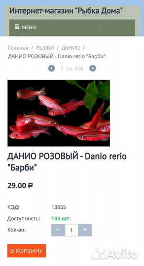 Аквариумные рыбки данио розовые