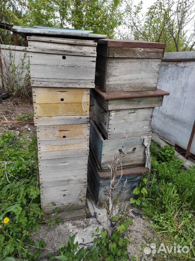 Улей для пчел