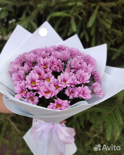 Букет Хризантем с Доставкой, Цветы Хризантемы