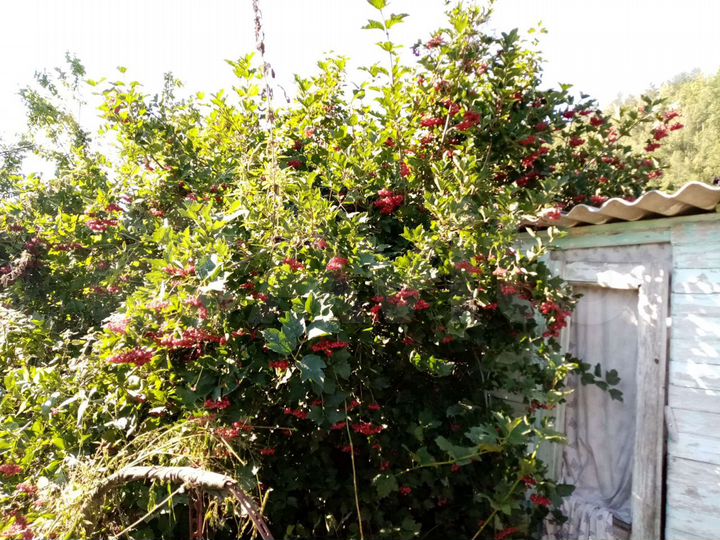 Дача 20 м² на участке 6 сот.