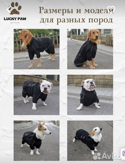Комбинезон для собаки