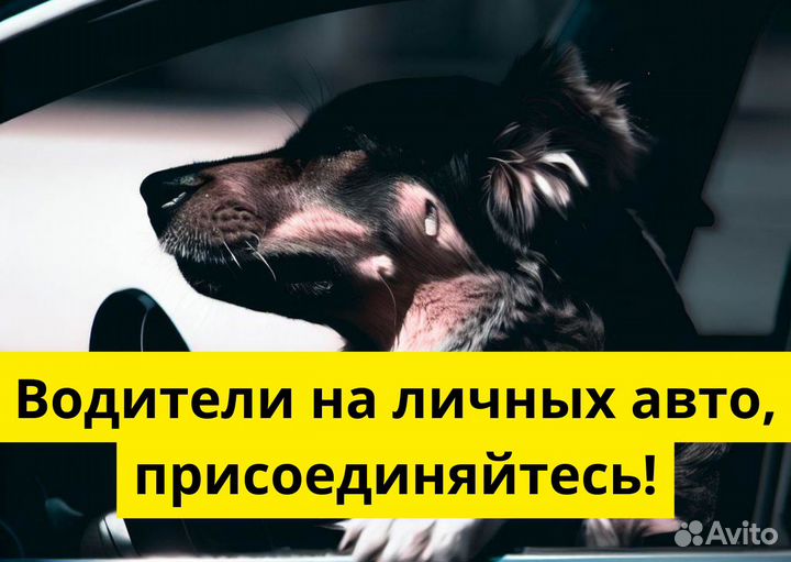 Яндекс GO: вакансия водителя с авто