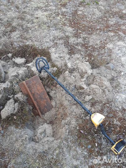 Аренда металлоискателя Garrett Ace 250