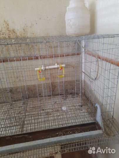 Клетка для птиц-цыплят кур