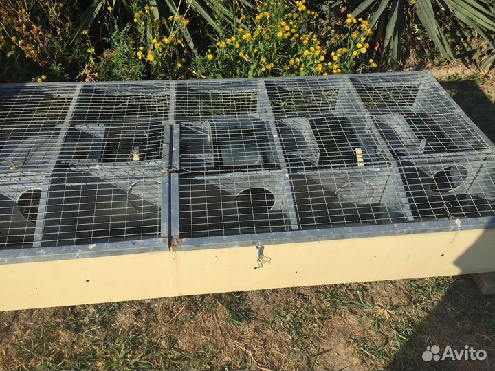 Клетки и кормушки для кроликов