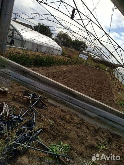 Теплица бу