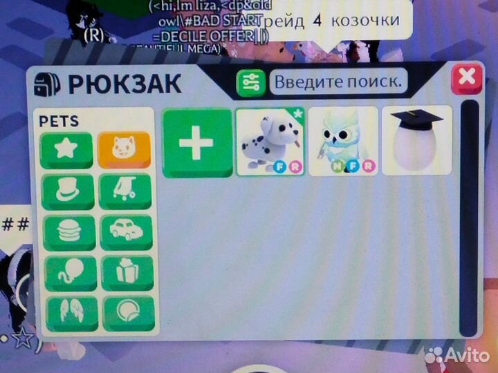 Продаю двух петов(описание)