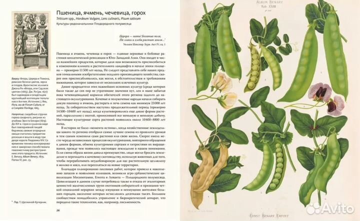 Книга Выдающиеся растения, которые изменили жизнь