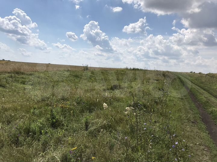 Участок 7 га (СНТ, ДНП)