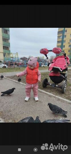 Коляска 2 в 1 adamex gloria