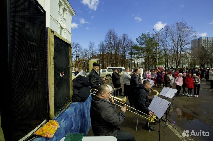 Низкочастотные акустические системы DAS-218