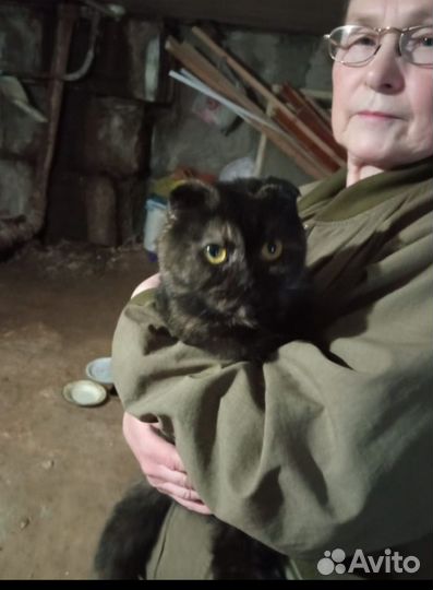 Экзотическая