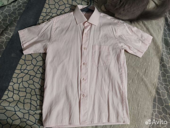 Рубашки детские на мальчика