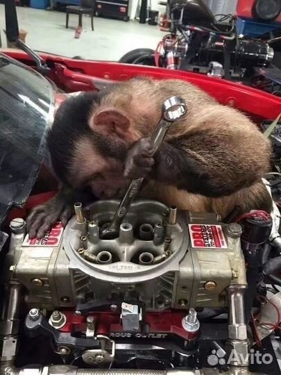 Корочки рабочих специальностей