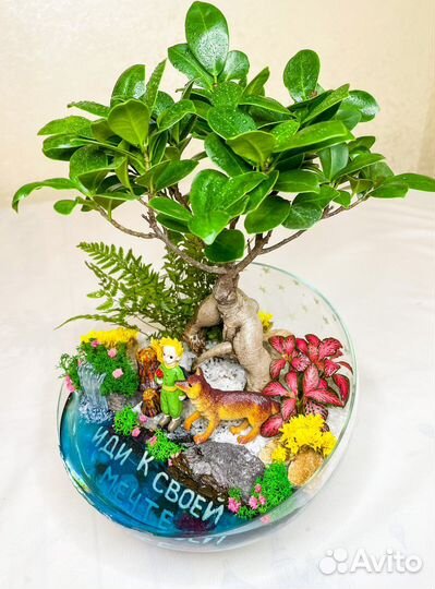 Флорариум «Маленький принц»