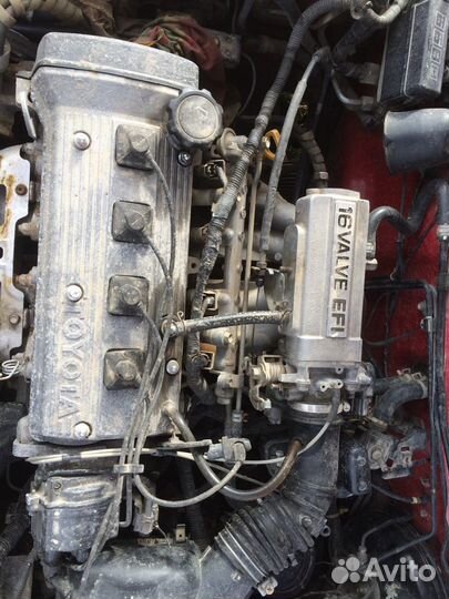 Запчасти на Тойота Королла 1995г