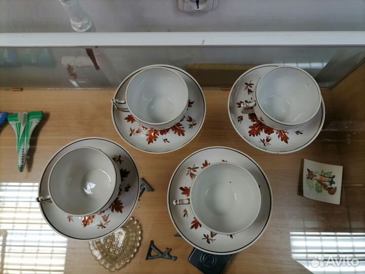 Чайные пары, барбарис. Вербилки. СССР