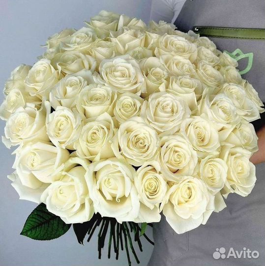 Высокие Розы с Доставкой