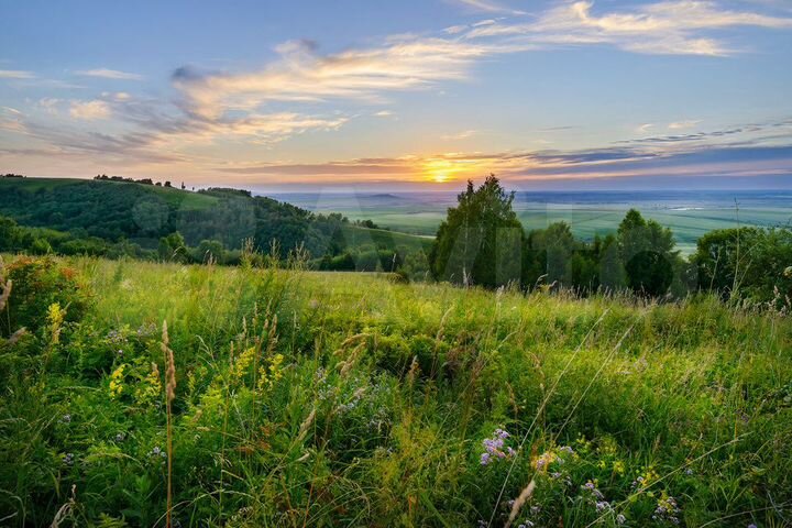 Участок 20 сот. (СНТ, ДНП)