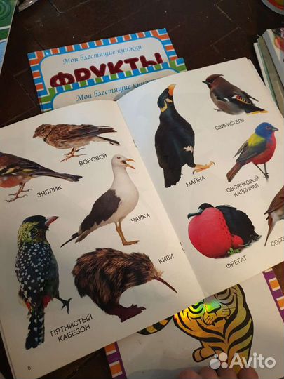 Книги для детей 4-6 лет, прописи, развивайки пакет