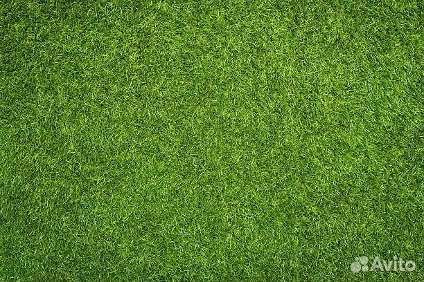 Рулонный газон под ключ