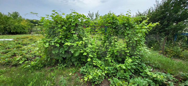 Дача 10 м² на участке 10,5 сот.