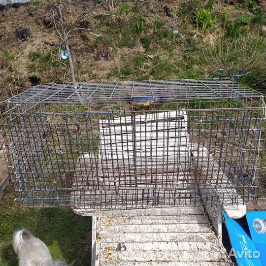 Клетки для кур, цыплят, перепелов