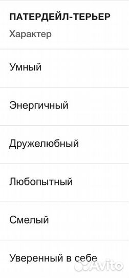 Патердейл в добрые руки