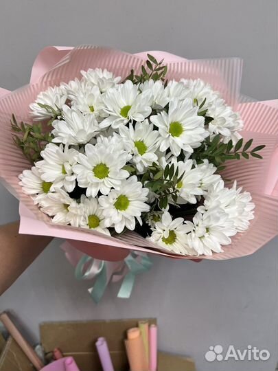 51 хризантема цветы, хризантемы, ромашки