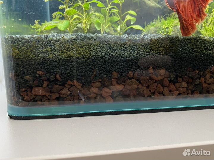 Аквариум Dennerle