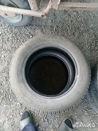 Tunga Tunga 6/6 R15