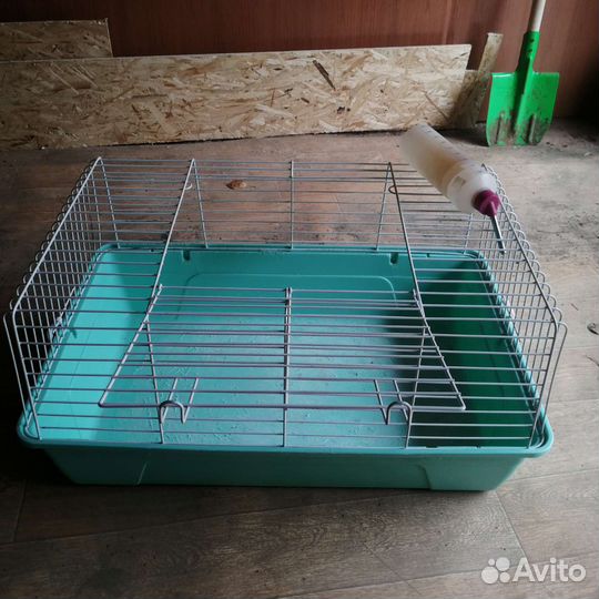 Клетка