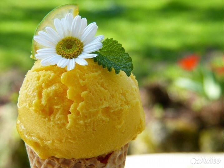 Уникальная франшиза: алкогольное мороженое