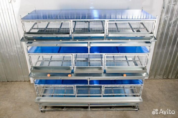 Клетки для кур, перепелов и кроликов