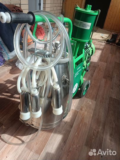 Доильный аппарат для коров