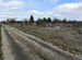 Фото объявления