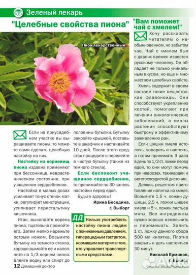 Пион уклоняющийся (Марьин корень)