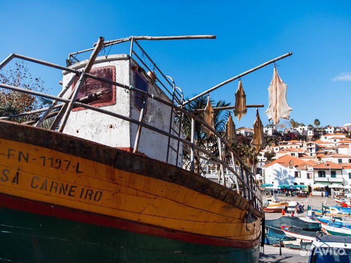 Экскурсия — Мадейра — Нескучное путешествие по Зап