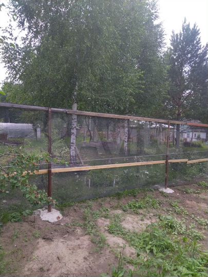 Участок 6 сот. (СНТ, ДНП)